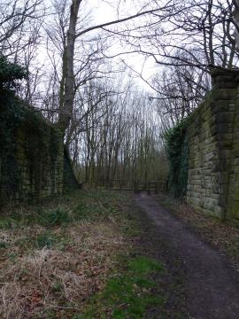 The old path from Middleforth to the Well through the railway cutting